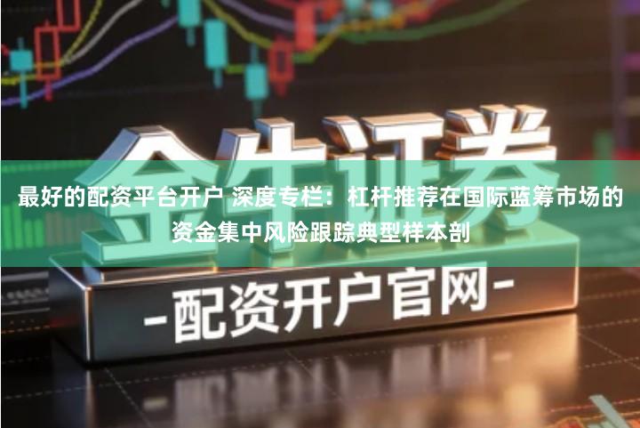 最好的配资平台开户 深度专栏：杠杆推荐在国际蓝筹市场的资金集中风险跟踪典型样本剖